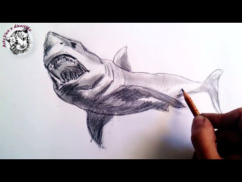 Cómo Aprender A Dibujar Animales Paso A Paso Imágenes + Videos