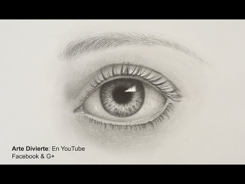 Aprende Cómo Dibujar Ojos Paso A Paso: Estilos Diferentes + Guía