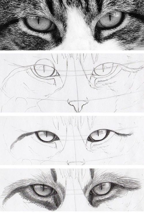 como-dibujar-ojos-de-gato