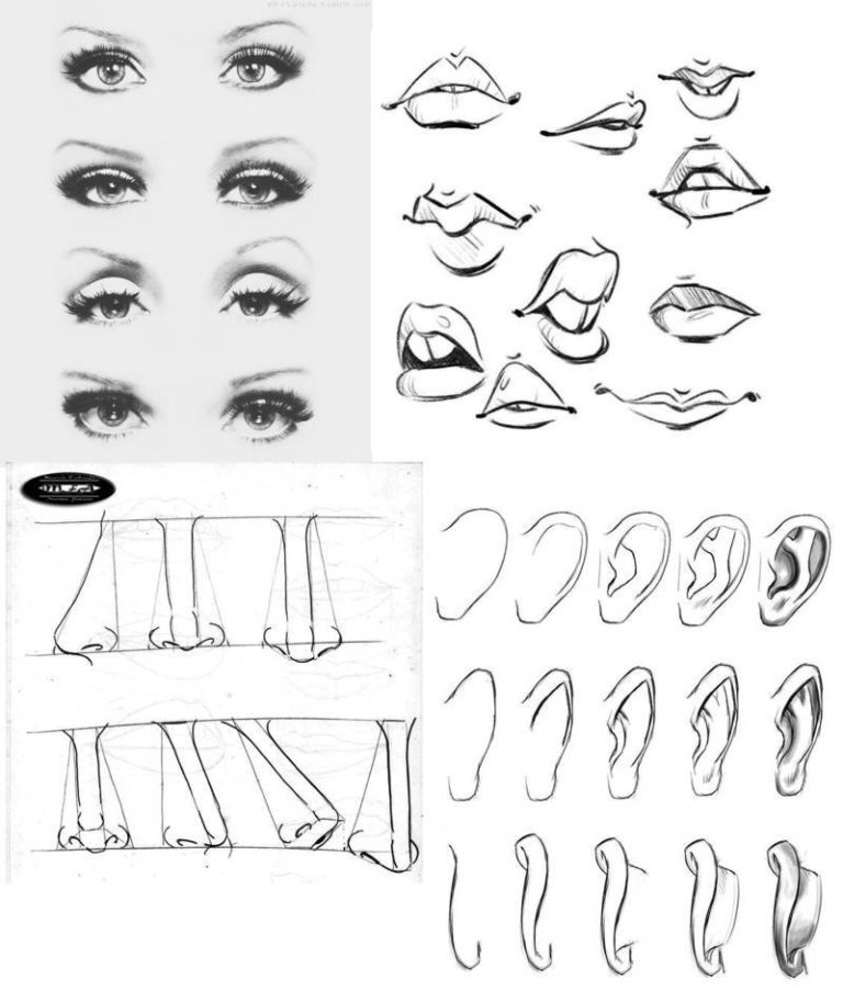 Cómo Aprender A Dibujar Rostros Humanos Paso A Paso Guía Única 0738