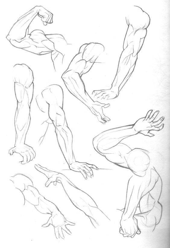 aprender-a-dibujar-brazos-de-personas