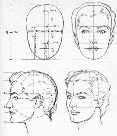 como-aprender-a-construir-y-dibujar-la-cabeza-femenina