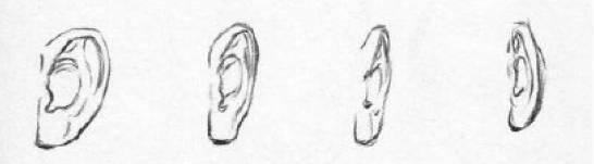dibujar-las-orejas-de-un-hombre