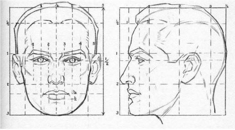 Cómo Aprender A Dibujar Rostros Humanos Paso A Paso [Guía Única]