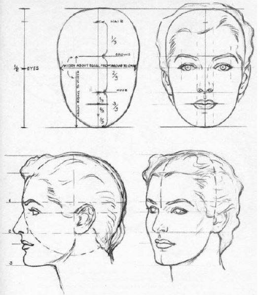 dibujar-las-proporciones-del-rostro-de-una-mujer