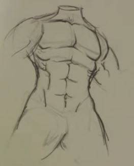 dibujo-de-torso-masculino-2