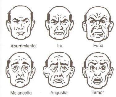 diferentes-expresiones-faciales-2