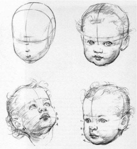 proporciones-dibujando-la-cabeza-de-un-bebe-2