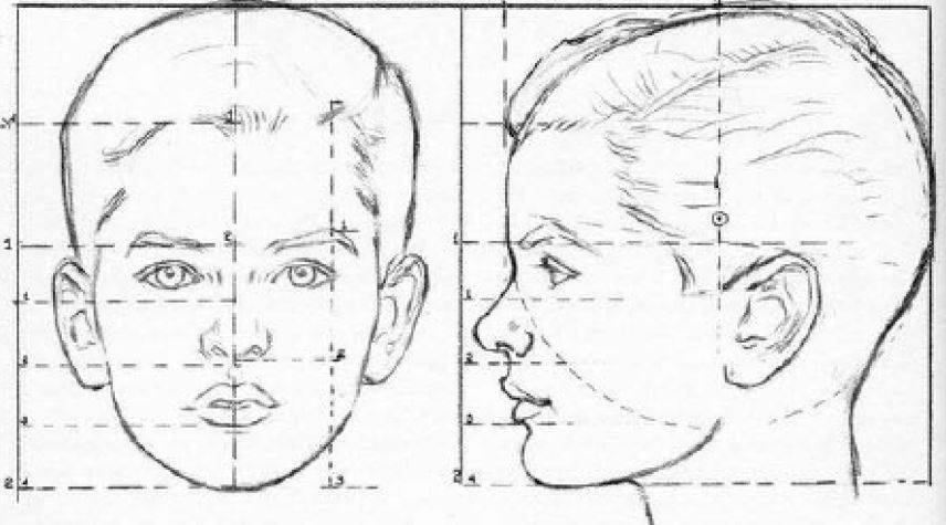 Proporciones del rostro de un niño