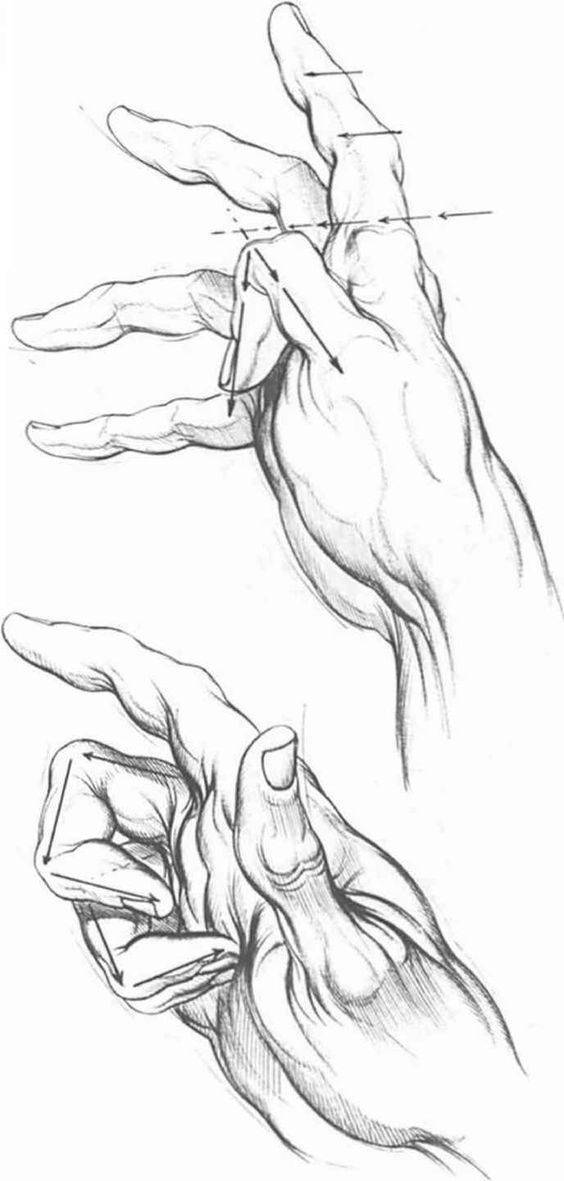 como-aprender-a-dibujar-manos-humanas
