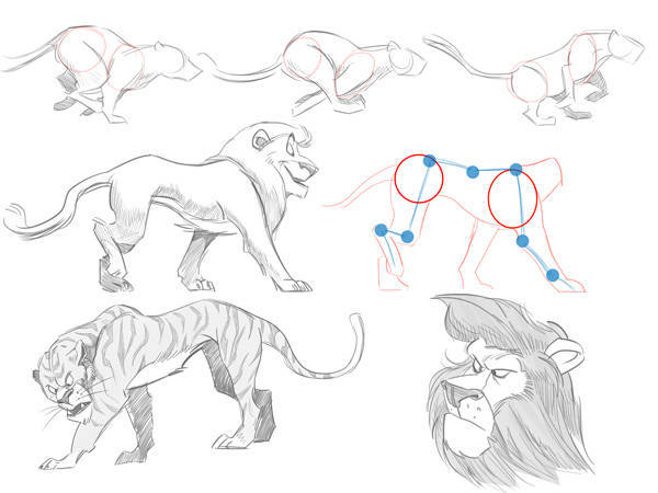 aprender a dibujar dibujos animados paso 06 animales