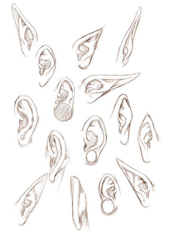 aprender a dibujar orejas de caricatura