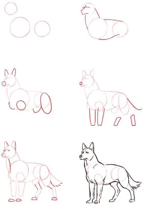como dibujar animales domésticos 2