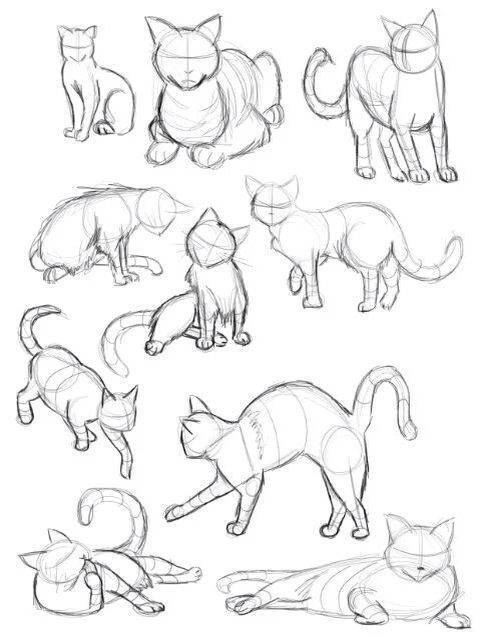 como dibujar animales domésticos