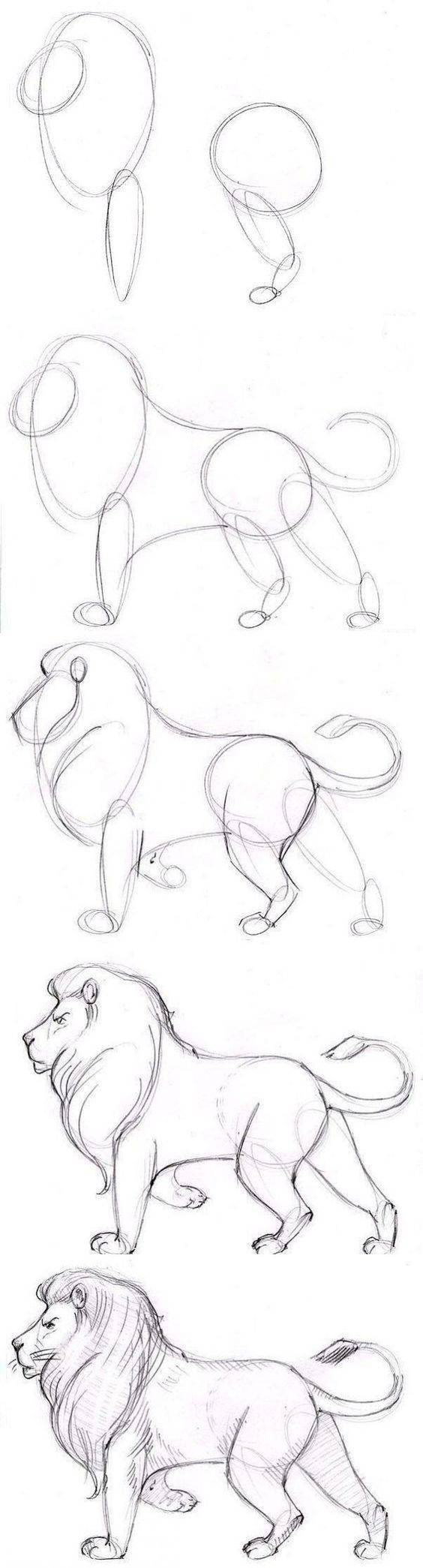 como dibujar animales salvajes