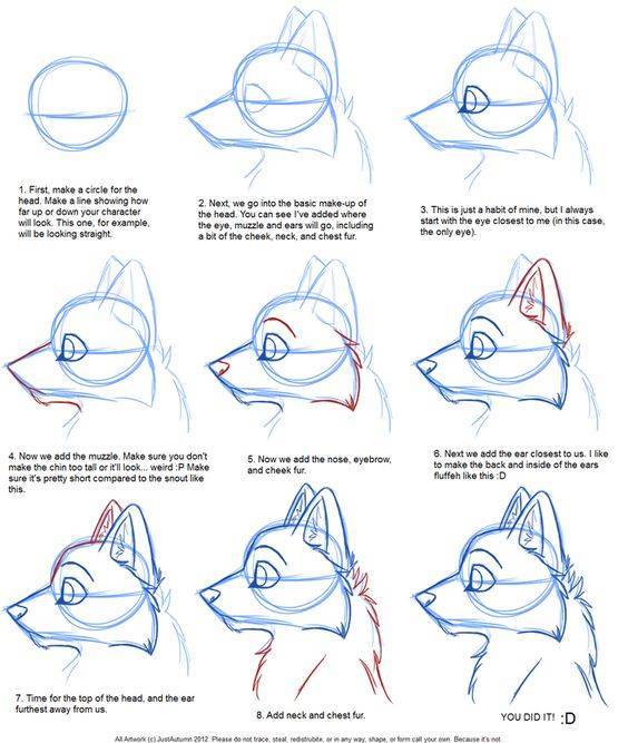 como dibujar caras de animales