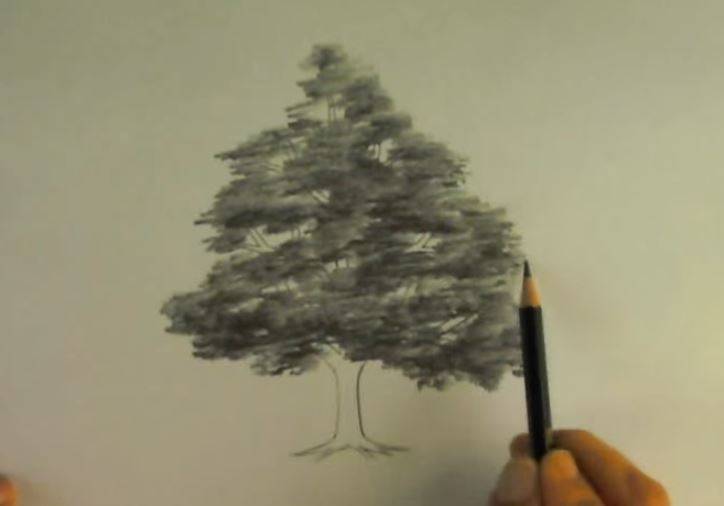 paso 4 para dibujar paisajes con arboles