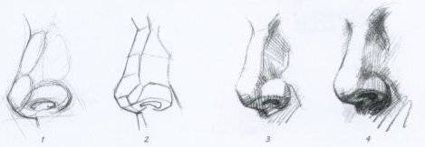 como aprender a dibujar una nariz de hombre