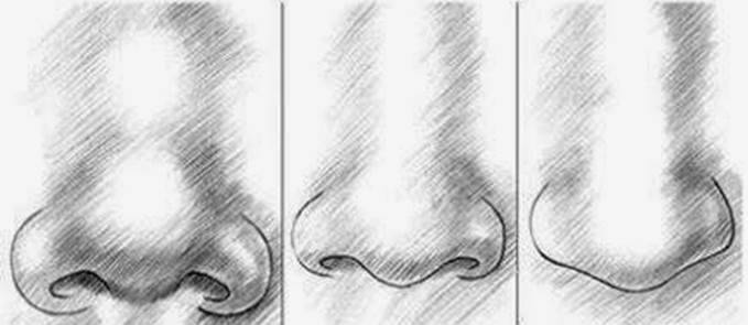 paso 2 para dibujar una nariz de hombre
