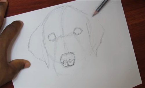 paso 3 para dibujar animales realistas