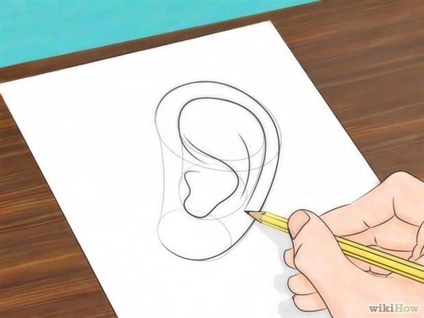 paso 5 para aprender a dibujar orejas de hombre y de mujer de perfil