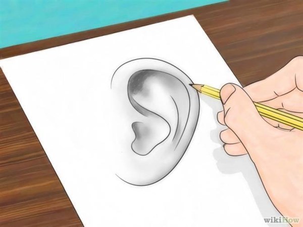 paso 6 para aprender a dibujar orejas de hombre y de mujer de perfil