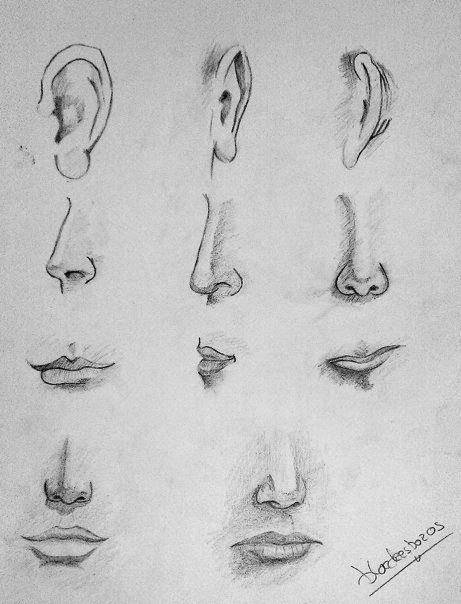 pasos para dibujar una nariz de mujer