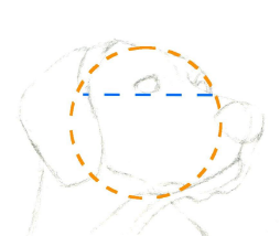 como aprender a dibujar animales domesticos a lapiz 2