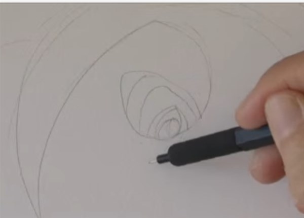 como aprender a dibujar rosas a lapiz paso a paso 2