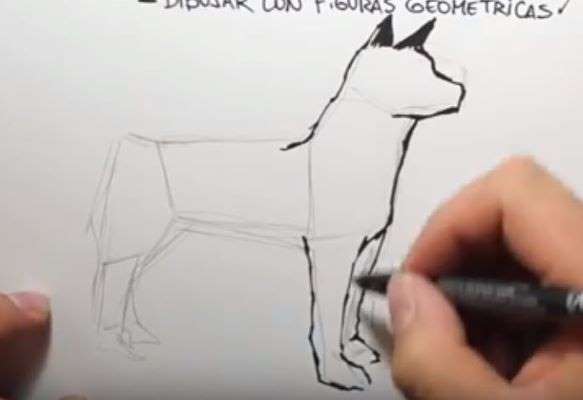 Aprende Cómo Dibujar Un Perro Anime Paso A Paso 2