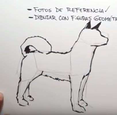 Aprende Cómo Dibujar Un Perro Anime Paso A Paso 3