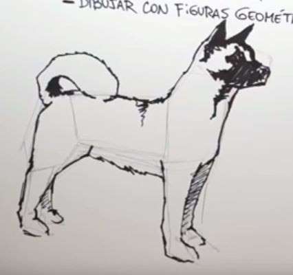 Aprende Cómo Dibujar Un Perro Anime Paso A Paso 4