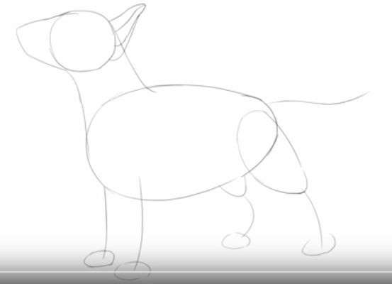 Aprende Cómo Dibujar Un Perro Bull Terrier Paso A Paso 4