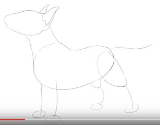 Aprende Cómo Dibujar Un Perro Bull Terrier Paso A Paso 5