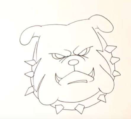 Aprende Cómo Dibujar Un Perro Bulldog Inglés Paso A Paso 7