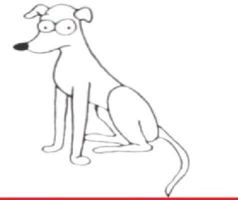 Aprende Cómo Dibujar Un Perro Galgo Paso A Paso 5