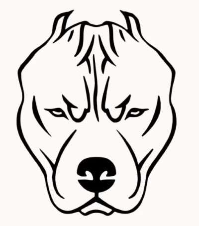 Aprende Cómo Dibujar Un Perro Pitbull Paso A Paso 7