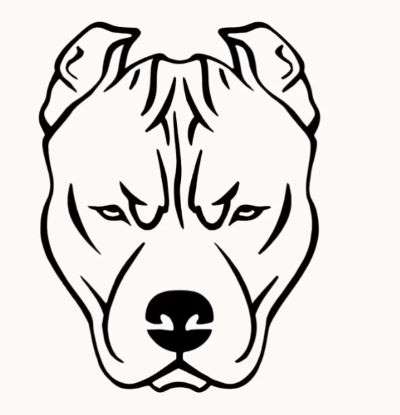 Aprende Cómo Dibujar Un Perro Pitbull Paso A Paso 8