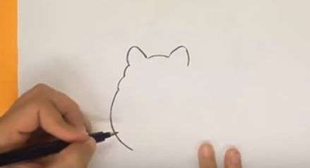 Aprende Cómo Dibujar Un Perro Pomerania Paso A Paso 2