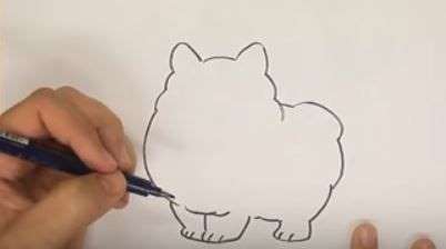 Aprende Cómo Dibujar Un Perro Pomerania Paso A Paso 4