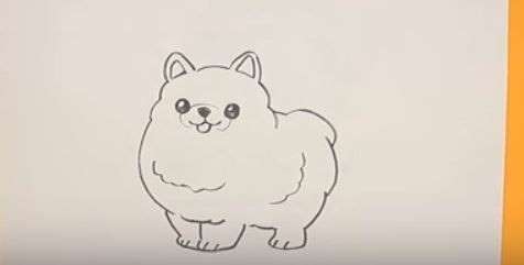 Aprende Cómo Dibujar Un Perro Pomerania Paso A Paso 7