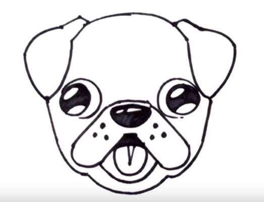 Aprende Cómo Dibujar Un Perro Pug Paso A Paso 11