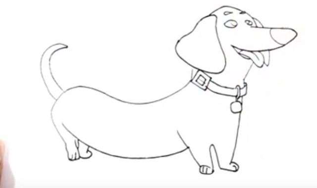 Aprende Cómo Dibujar Un Perro Salchicha Paso A Paso 5