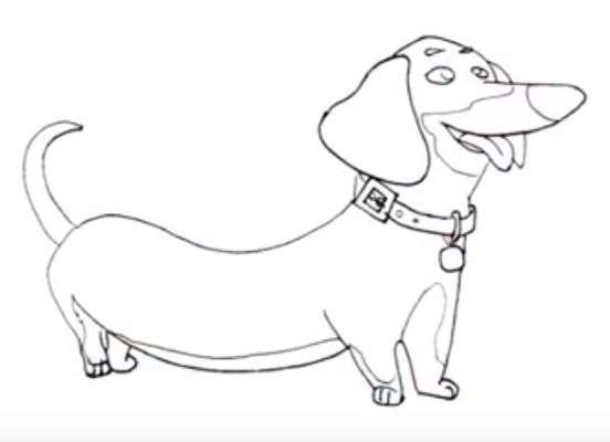 Aprende Cómo Dibujar Un Perro Salchicha Paso A Paso 6