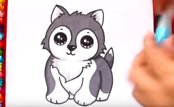 aprende como dibujar un perro tierno para niños paso a paso 10